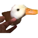 ☝