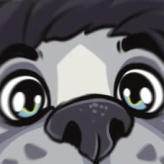 👀