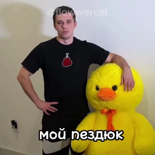 🦆