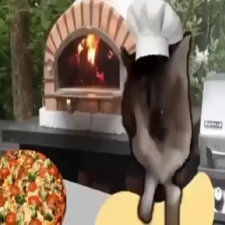 🍕
