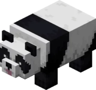 🐼