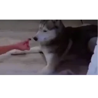 👍