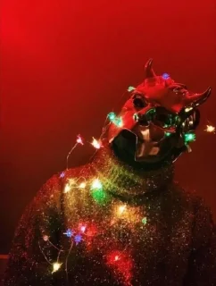 🌟