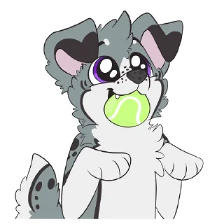 🎾