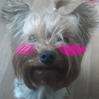 😊