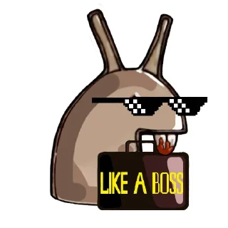 😎