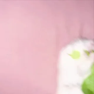🐹