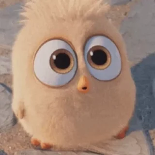 🤪
