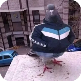 🕊