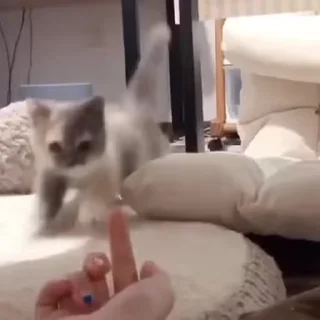 🤪