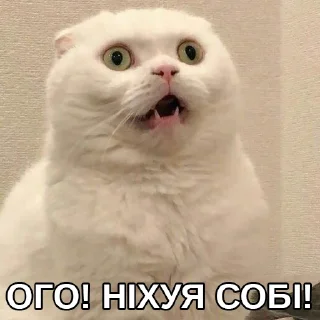 😱