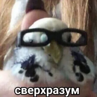 🧠