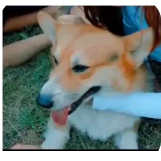 👍