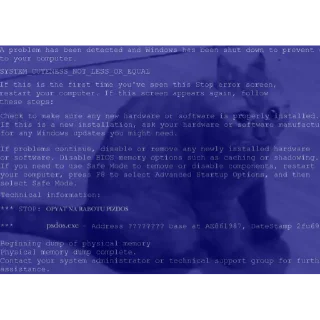💻