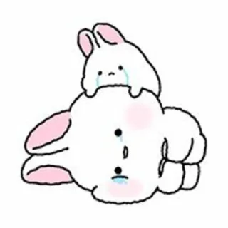 🐇