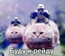 👌