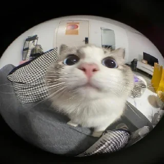 🧐