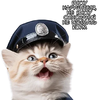 👮‍♂