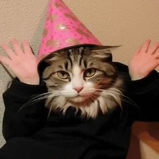 ✋