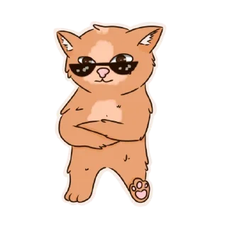 😎