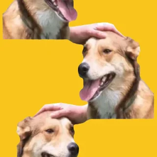 🟨