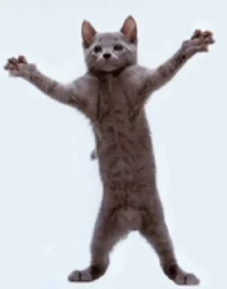 💃