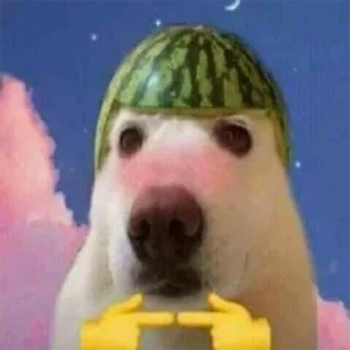 👉