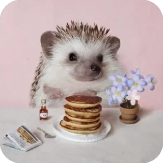 🥞