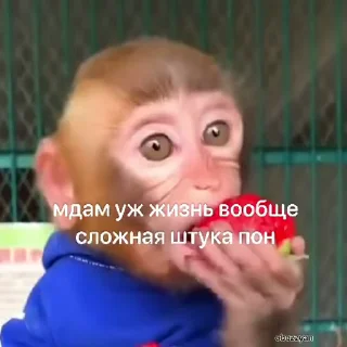 😒