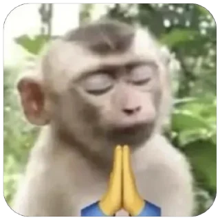 🙏