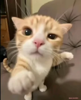 😡