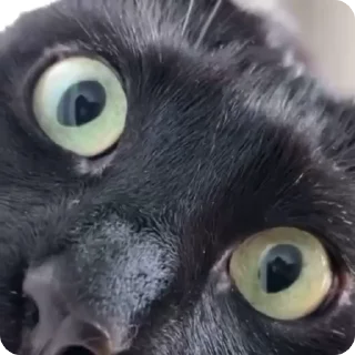 🤯