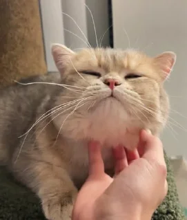 😊