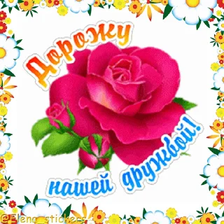 🌹