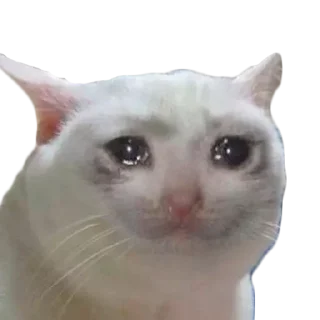 😢