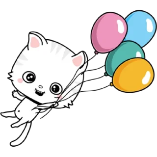 🐱