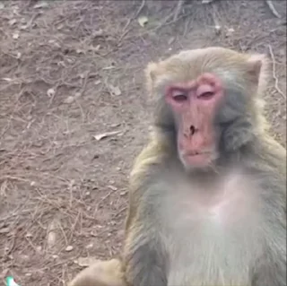 😞