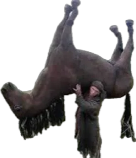 🏇