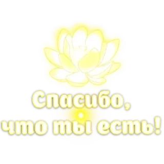 🙏