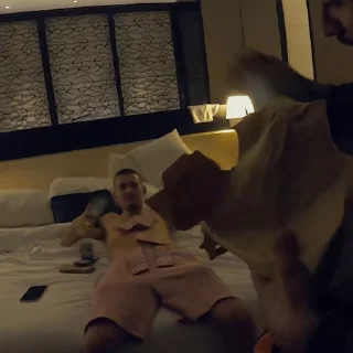 💵