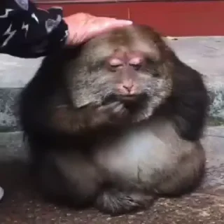 😏