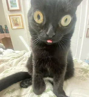 😛
