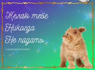 🌟