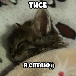 😴
