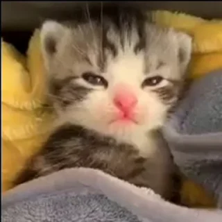 @iam13yo ⬅️ ❣️