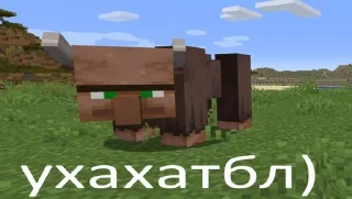 😂