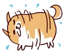 🐶