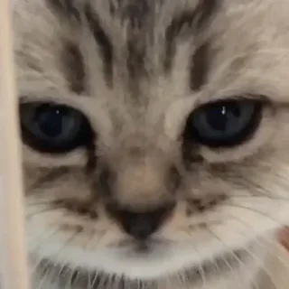 😕