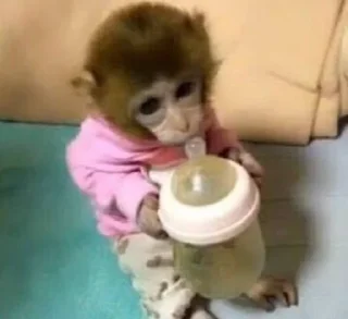 🍼