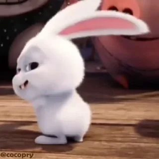 🍑
